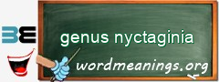 WordMeaning blackboard for genus nyctaginia